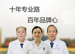 专家团队